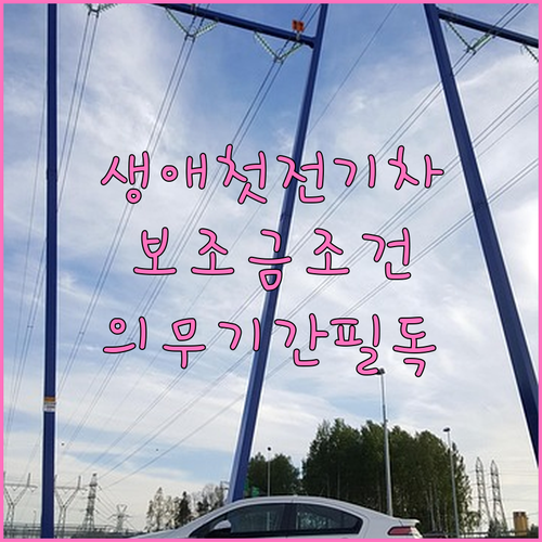 생애 최초 전기차 보조금 지급 조건 ..