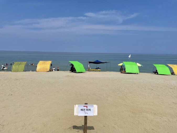 반려동물 해수욕장