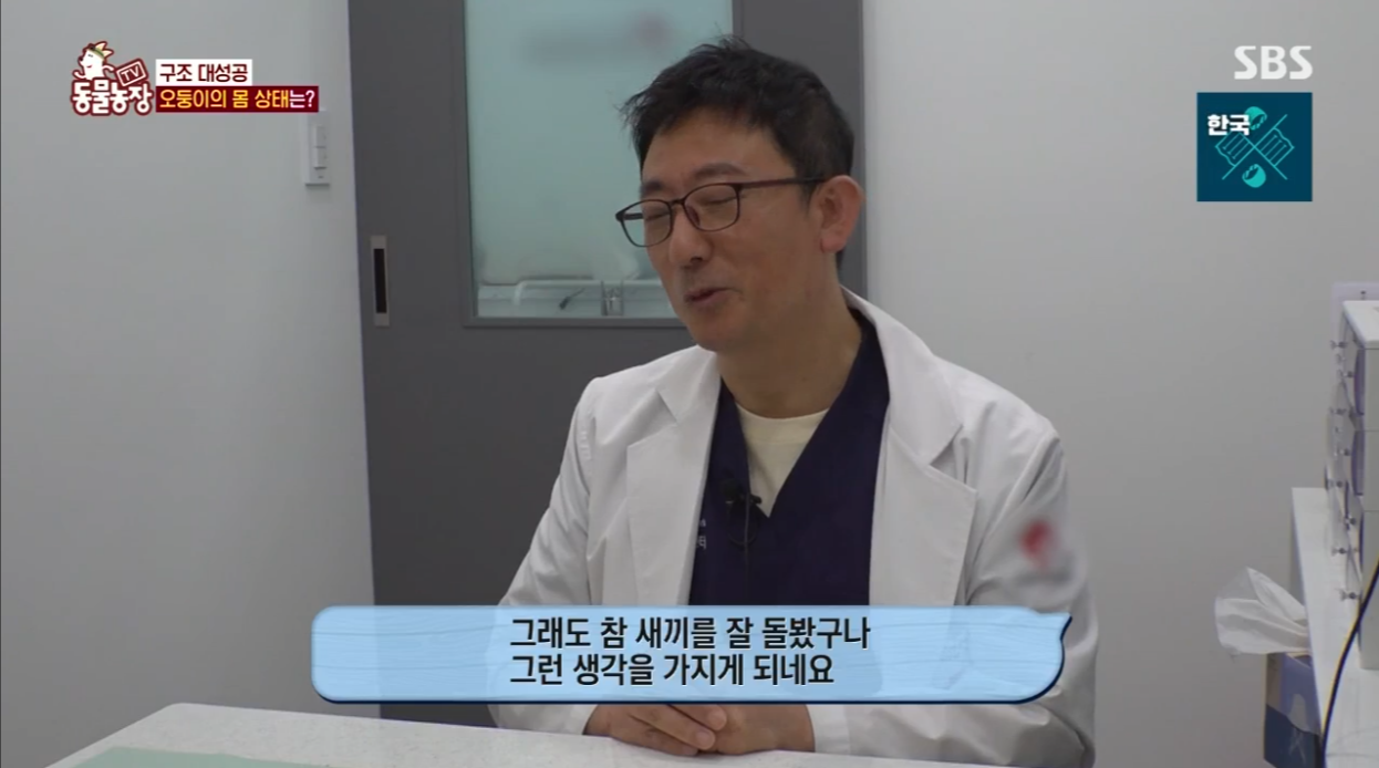 동물농장