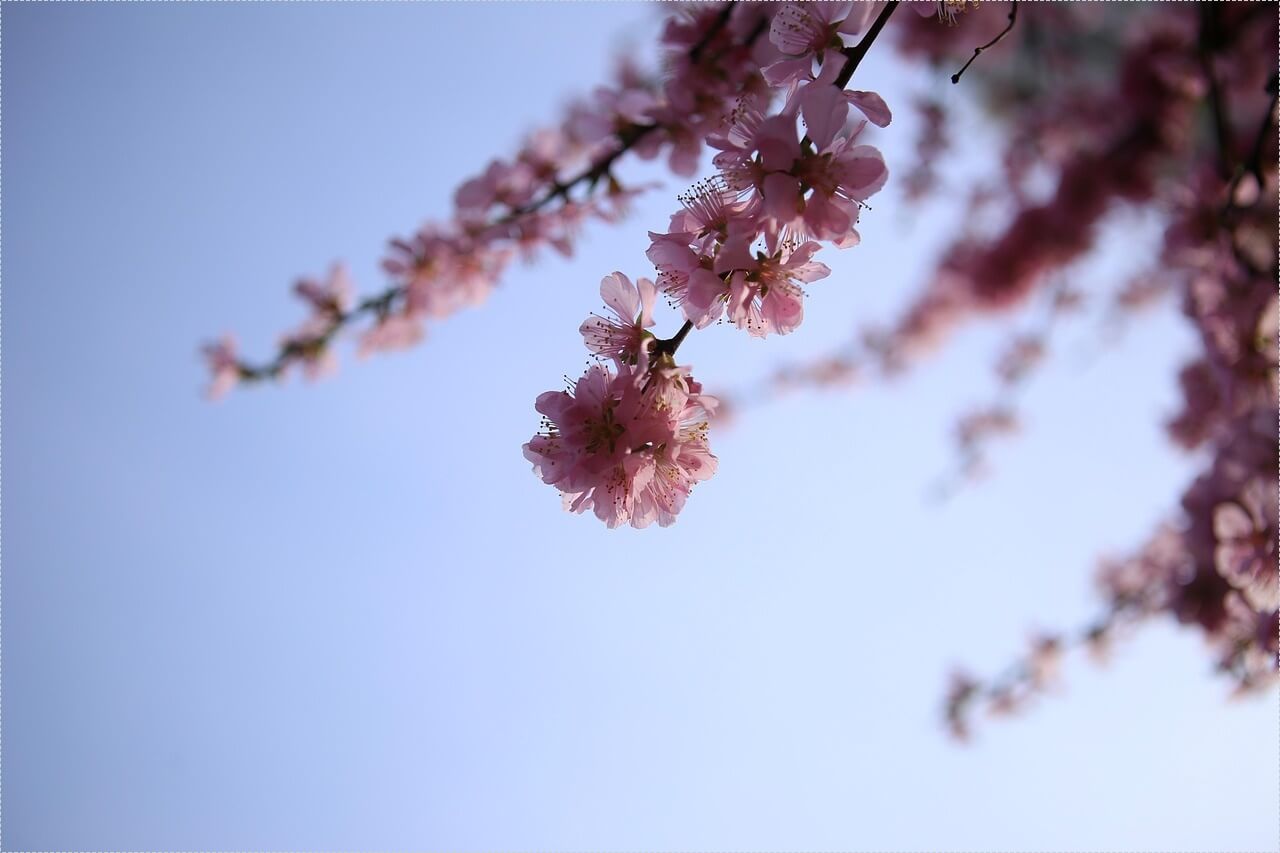 하나은행 정기예금 금리