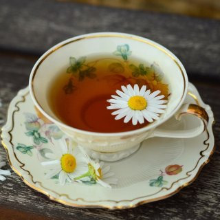 캐모마일 차 이미지 사진