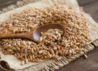 파로 효소 추천 순위 TOP 5 – 파로 효소 이 제품은 피하세요!