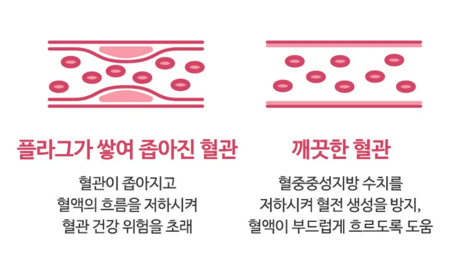 안국건강 식물성 오메가3 효능