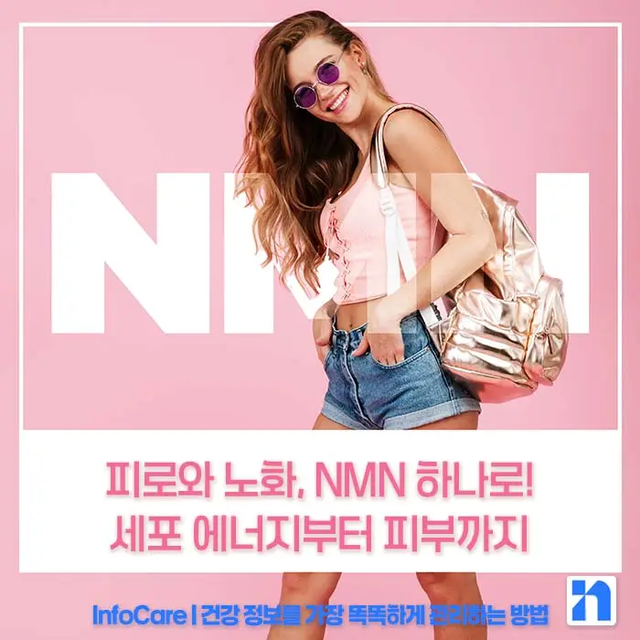 NMN 효능 효과 저속노화 노화방지 항노화