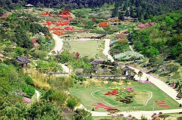 안면도 자연휴양림 사진