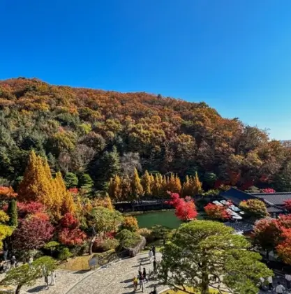 화담숲 입장료 예약
