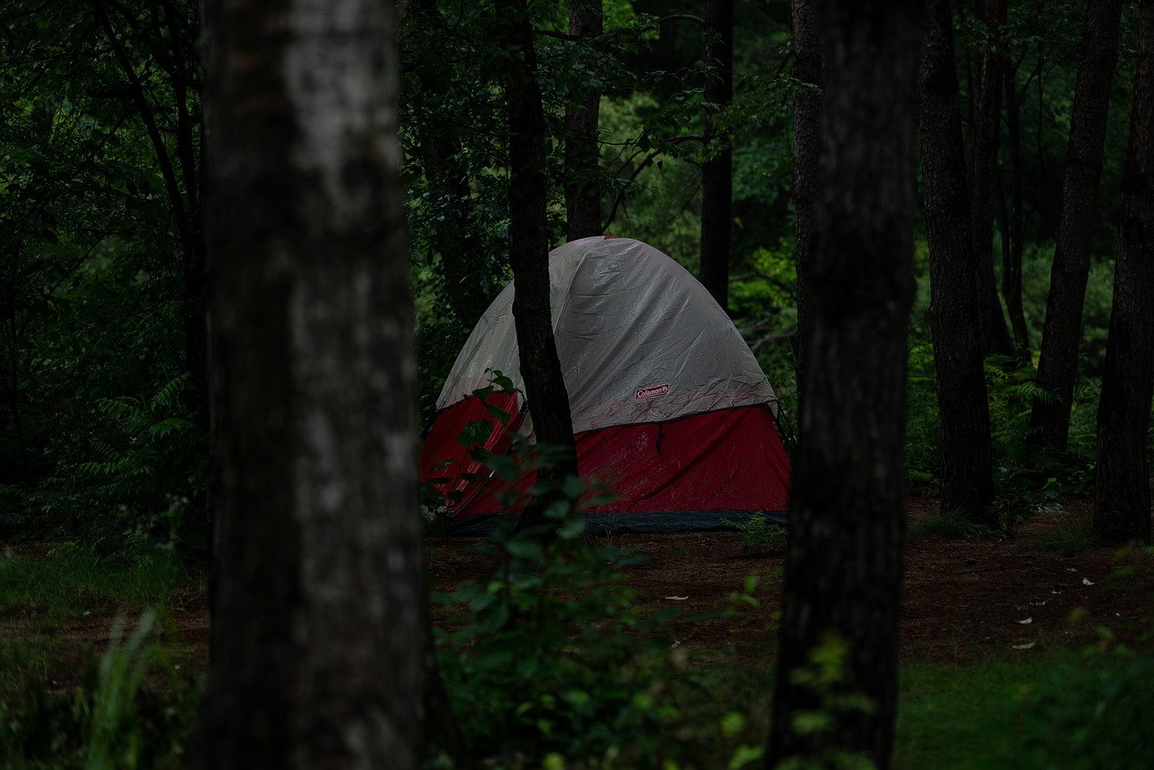 캠핑장 공포 영화 관련 사진