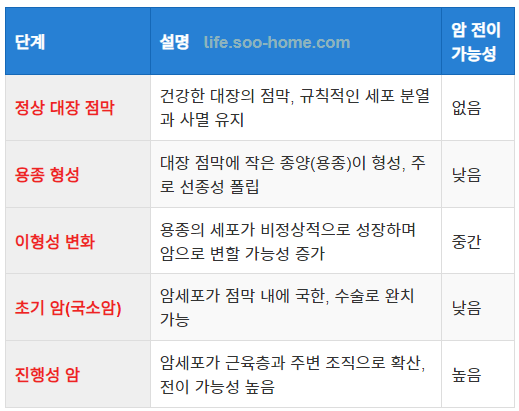 대장암의 발생 과정