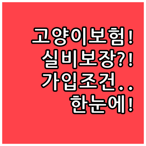 고양이 보험 실비 보장과 가입 조건 ..