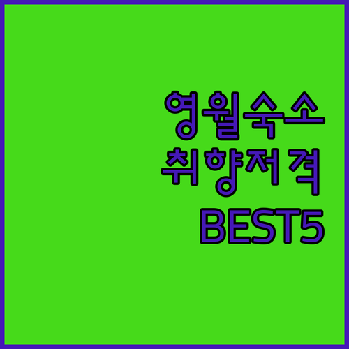 강원도 영월 숙소 추천 및 취향별 베..