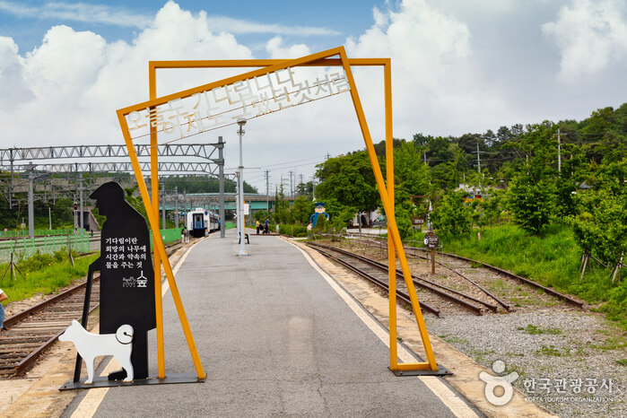 춘천 가볼만한곳