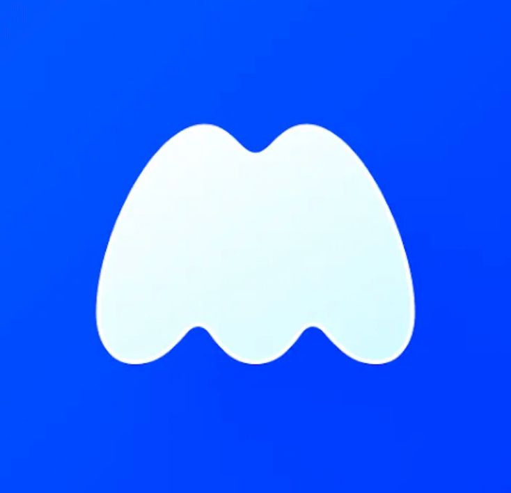 모나모 앱 로고