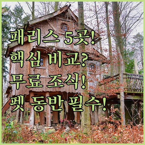 텍사스 패리스 숙소 5곳 핵심 비교 ..