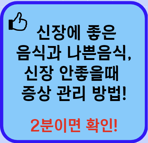 신장에 좋은 음식 신장 안좋으면 나타나는 현상 등 알아보기(24년 Ver)