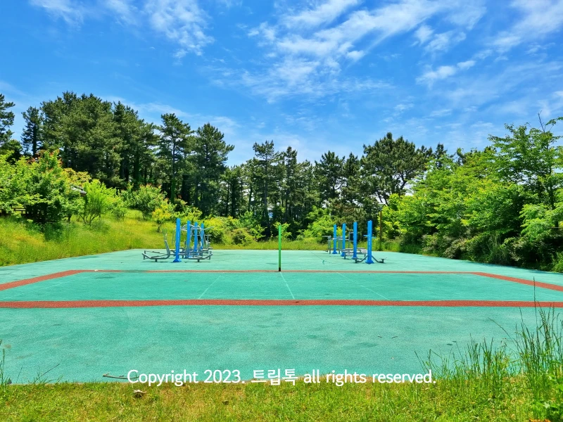 맑은 하늘아래에 펼쳐진 초록생 운동장과 운동기구들