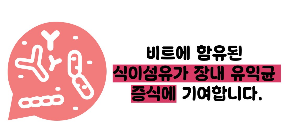 비트 효능 및부작용