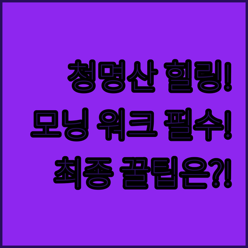 청명역 모닝 워크 최종 선택 청명산 ..