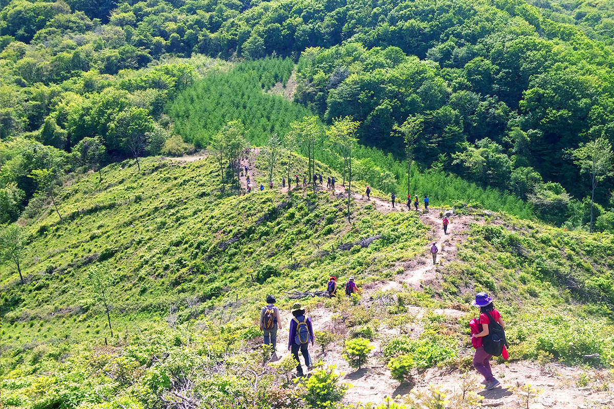 양구 펀치볼 마을 트랙킹