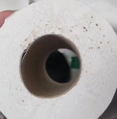 공중화장실에서발견된얼룩휴지