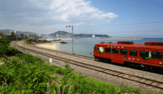 가을 바다 열차 여행 추천