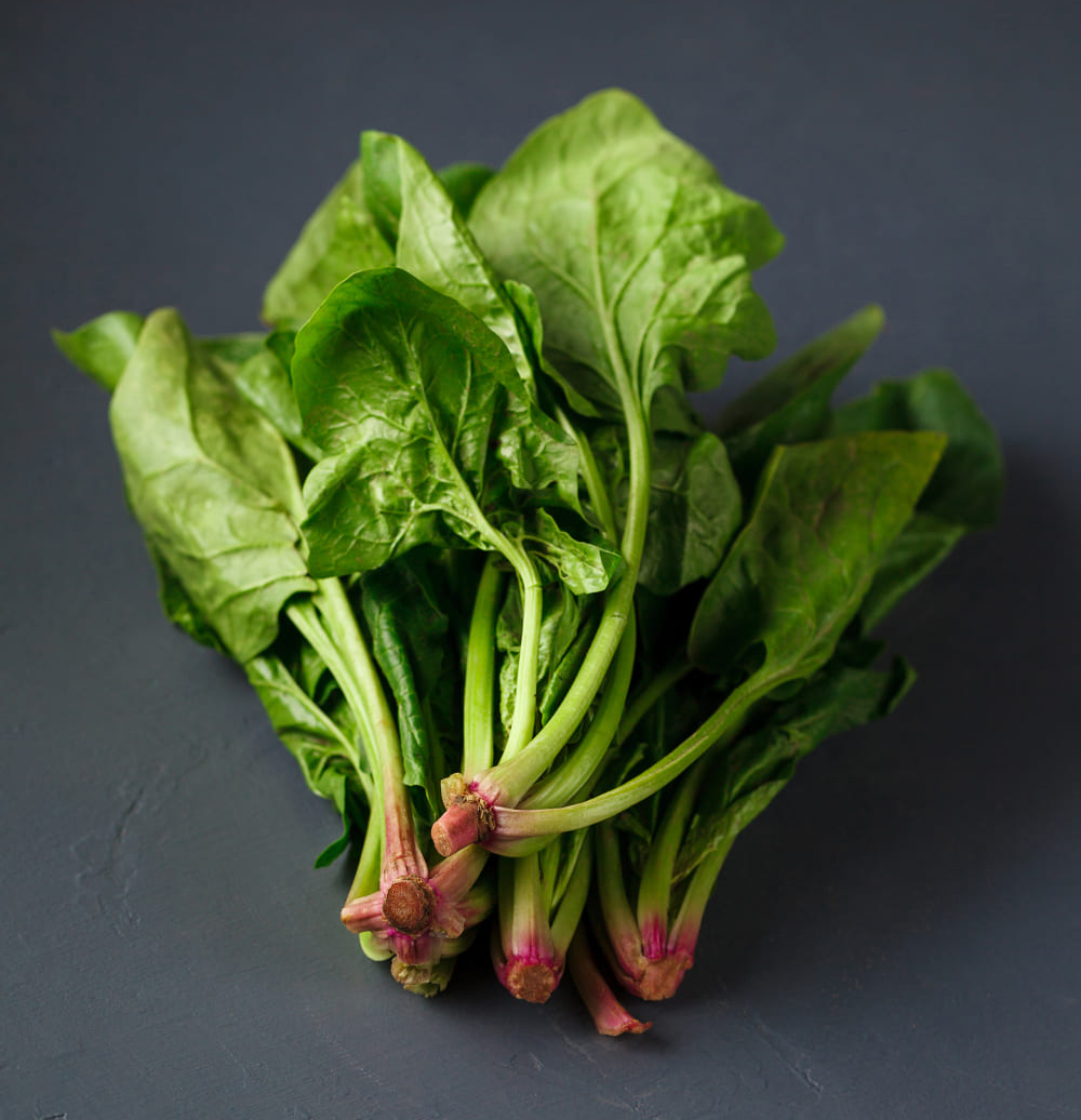 간경화에 좋은 음식 10가지