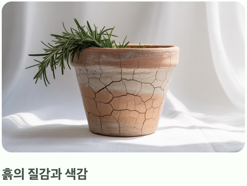자연을 닮은 아름다움