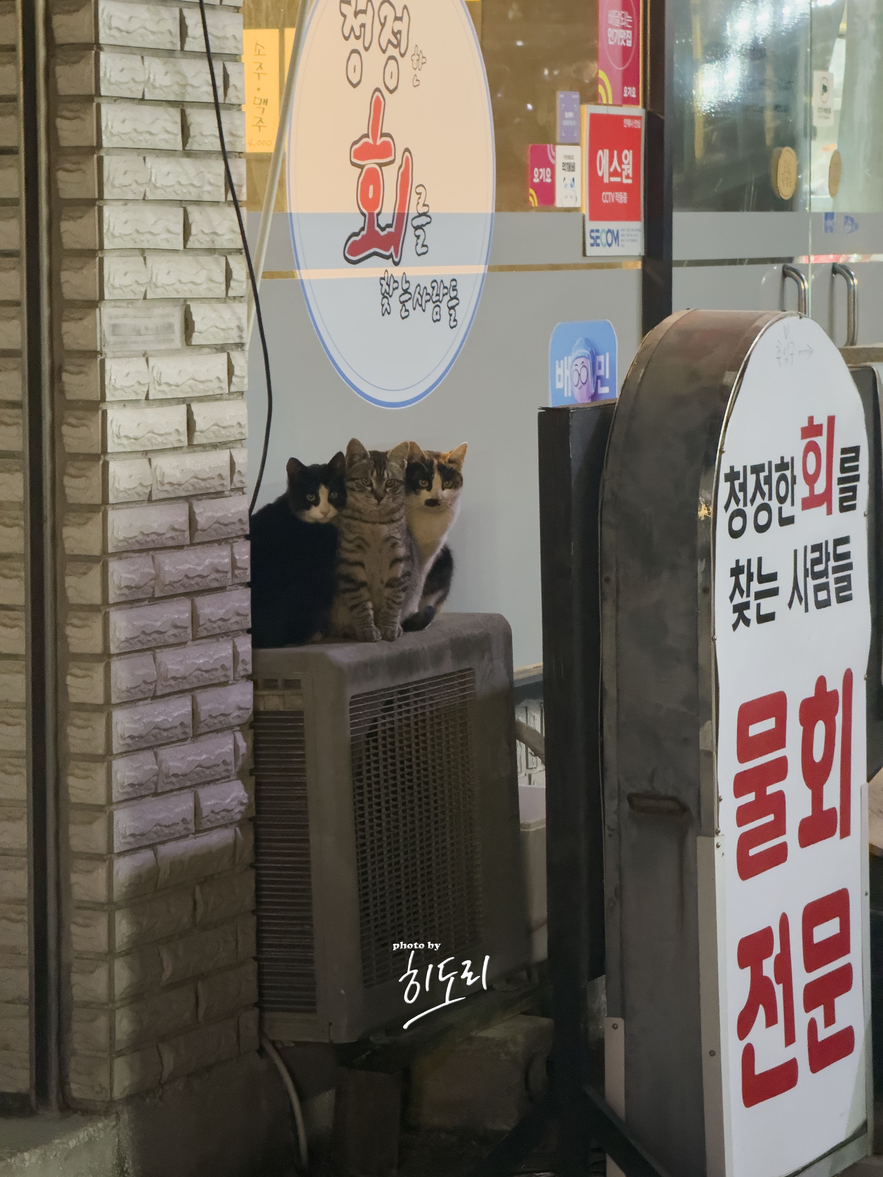 울산 온산 덕신 ❘ 황제갈매기 - 셀프바 반찬 넉넉한 갈매기살 맛집 13