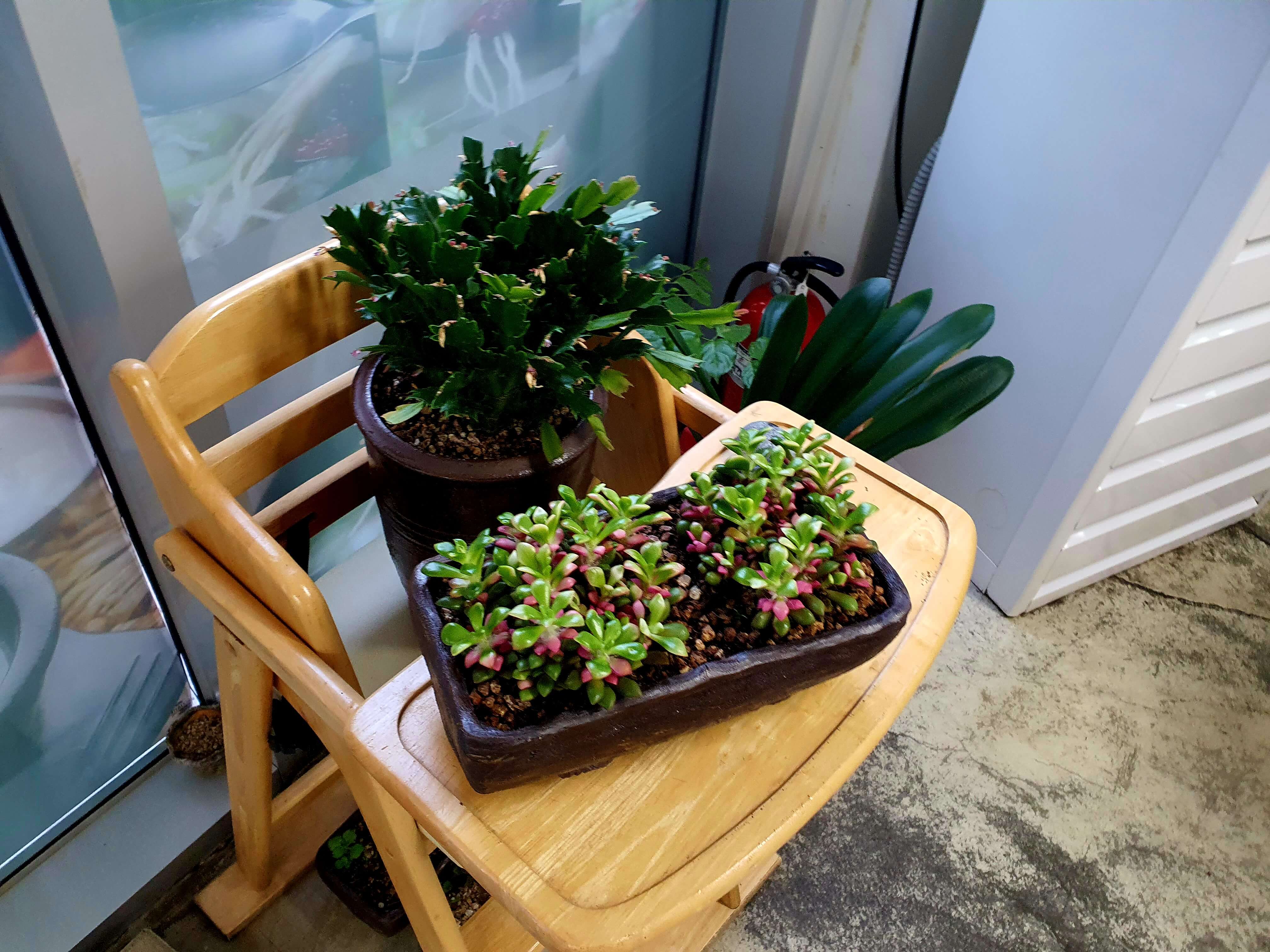 유가네한우소머리곰탕