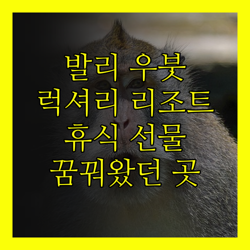 발리 우붓 럭셔리 리조트 추천 3곳.