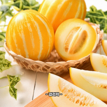 참외껍질 음식물쓰레기 인가요