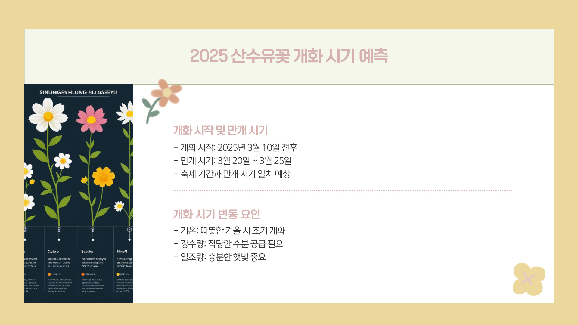 2025 구례 산수유꽃축제 일정 및 개화 시기