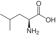 류신 화학 구조