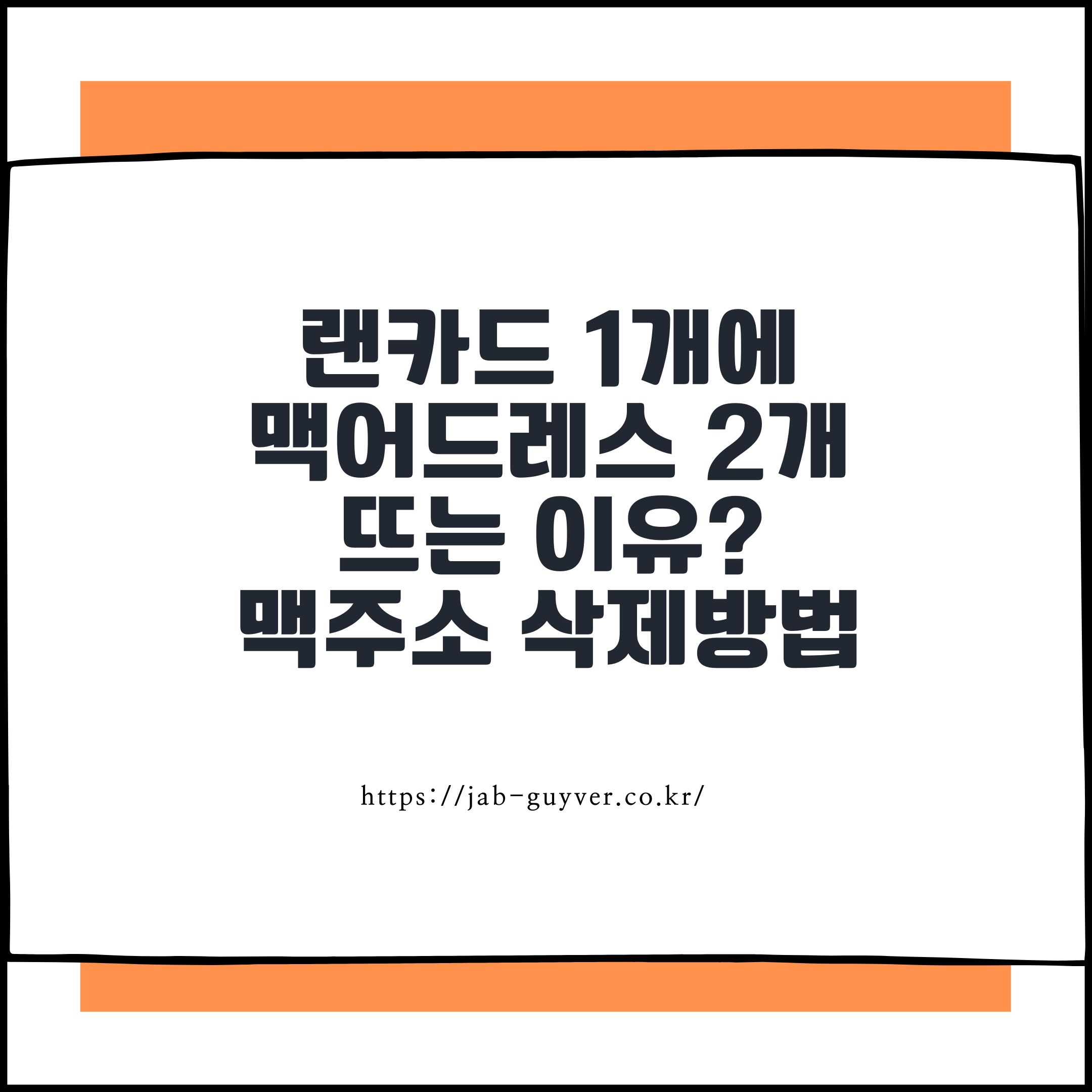 랜카드 1개에 맥어드레스 2개 뜨는 이유? 맥주소 삭제방법