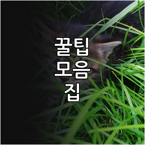 2025 TAC 어업인 경영개선자금 ..