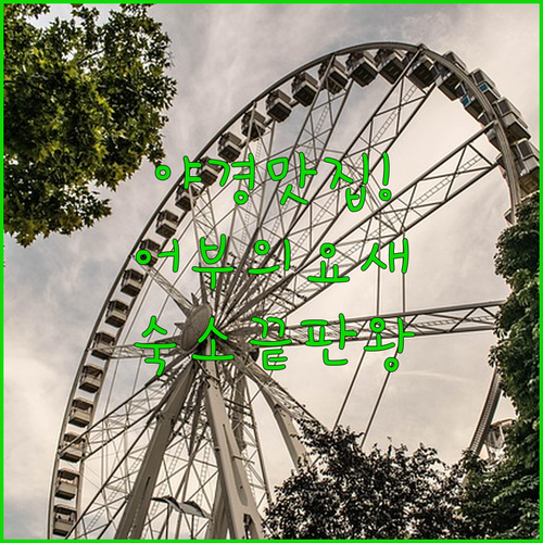 유럽 여행 부다페스트 호텔 비교 어부..