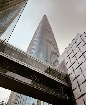 롯데그룹 위기 부도설 유동성 위기