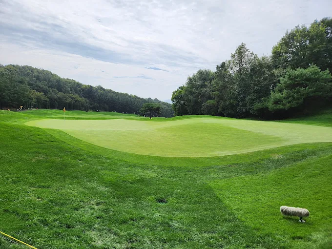 이천 블랙스톤 컨트리클럽 골프장 소개 및 예약방법