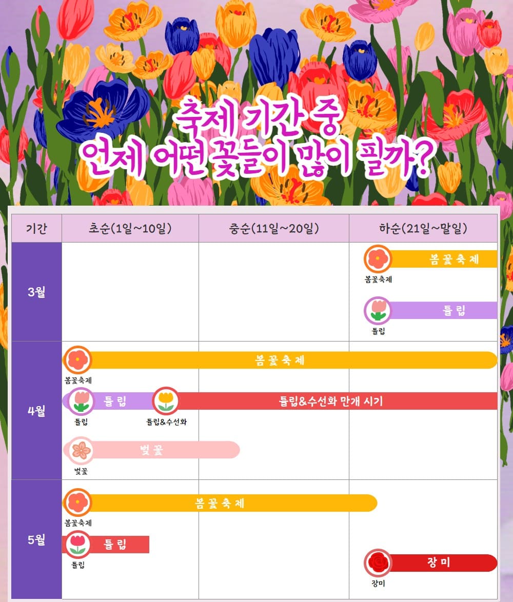 축제 기간별 피는 꽃 종류를 보여주는 피크 시즌 안내 이미지