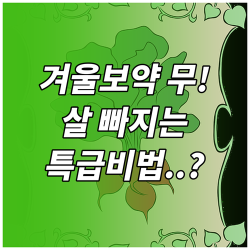 겨울 보약 무 효능과 다이어트 효과 ..