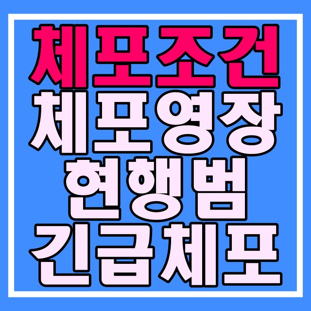 체포 종류와 조건 관련 포스팅 썸네일