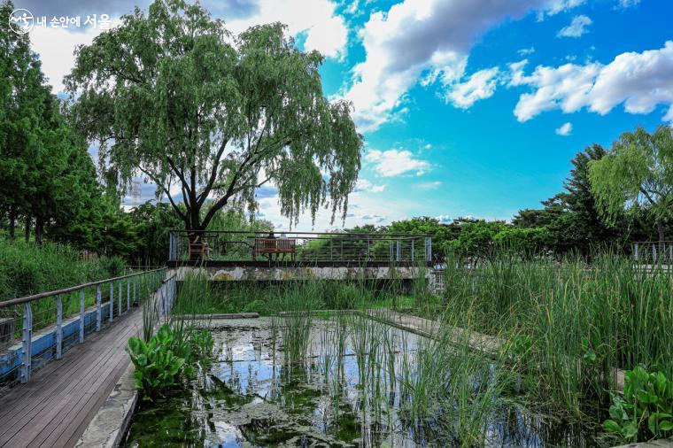 인생 화보 쌉가능! 커플 스냅샷 찍기 좋은 야외 성지 BEST 3