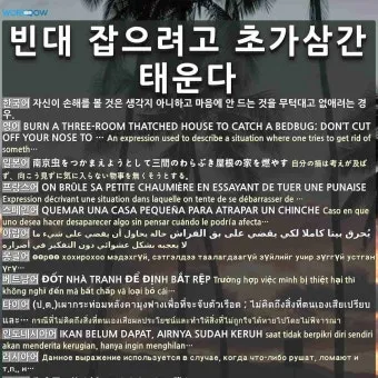 속담 빈대 잡으려고 초가삼간 태운다 의미와 예시_8