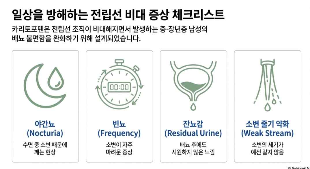 카리토포텐-사진2