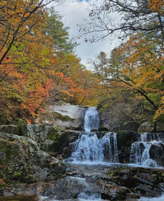 곡성 백운산 2025 첫 단풍 시기 & 절정 시기 ❘ 등산 코스 TOP3