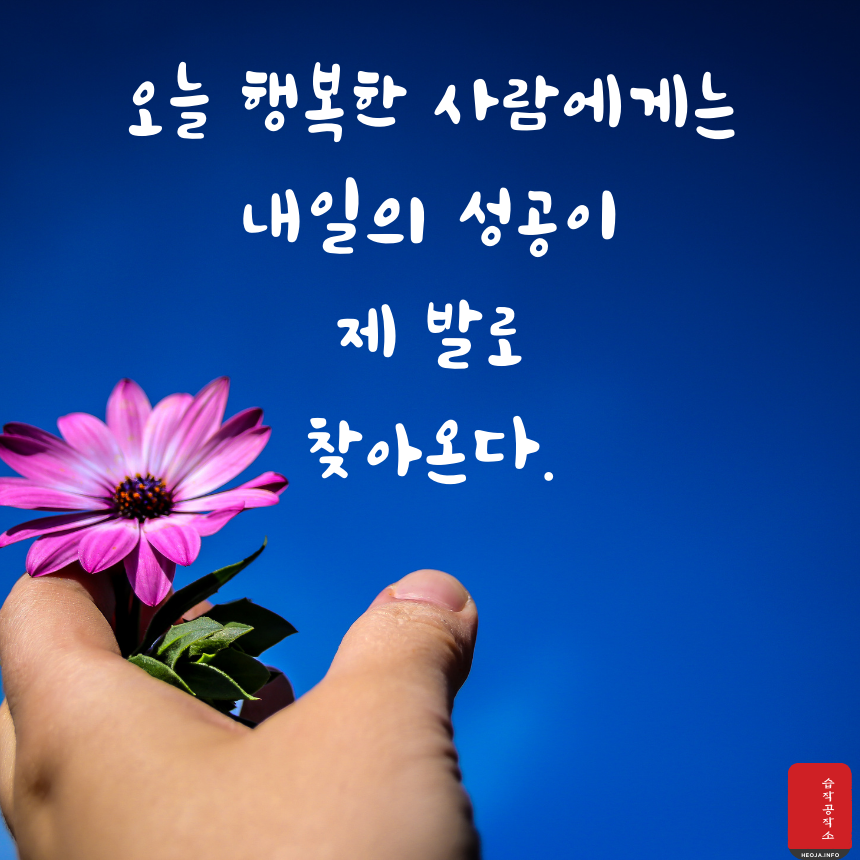 행복에 관한 짧고 좋은 글귀 명언 문구 모음