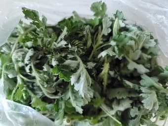 3월 제철 나물 & 채소 추천 BEST 8!!🌱