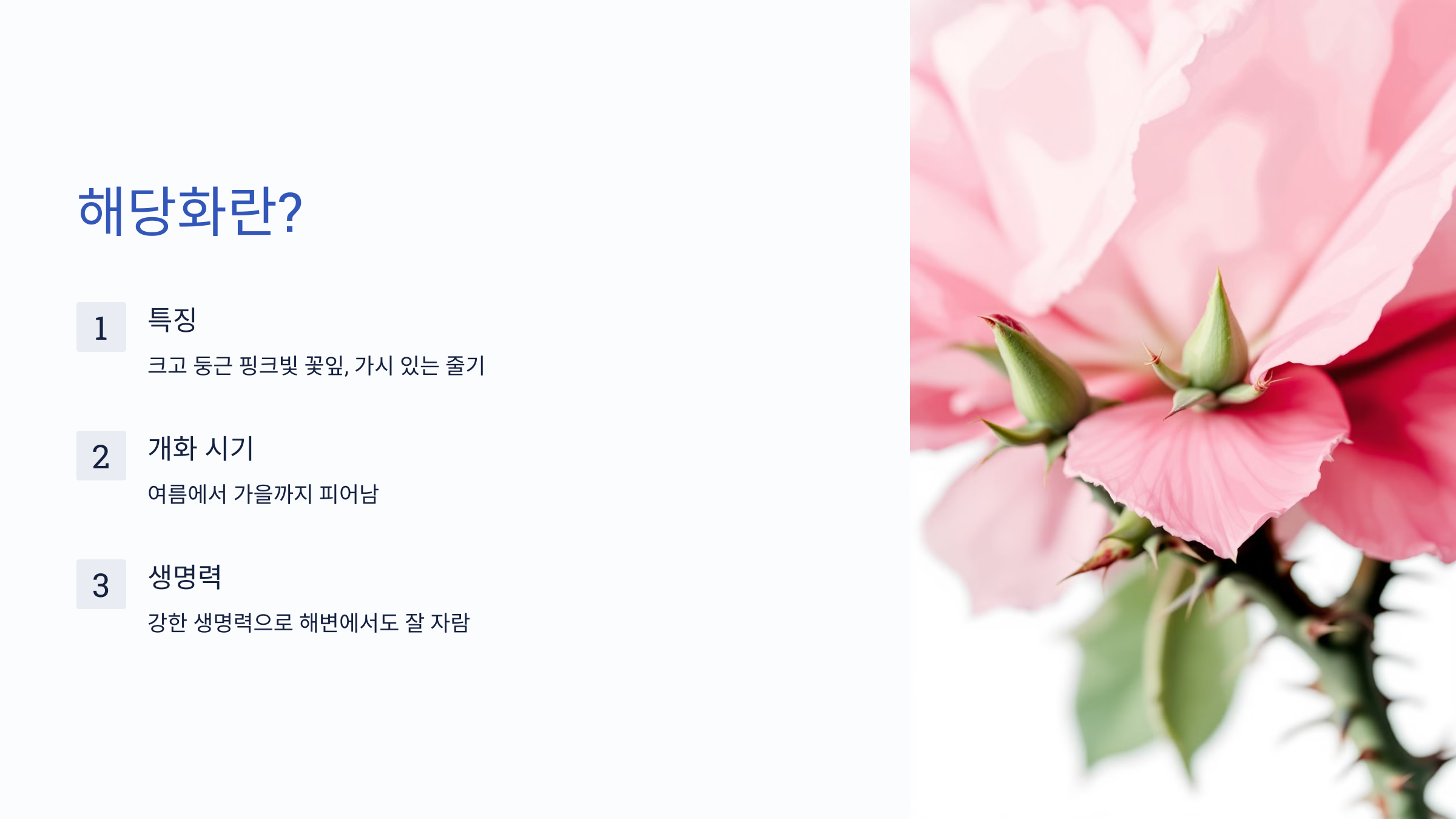 10월 29일 탄생화