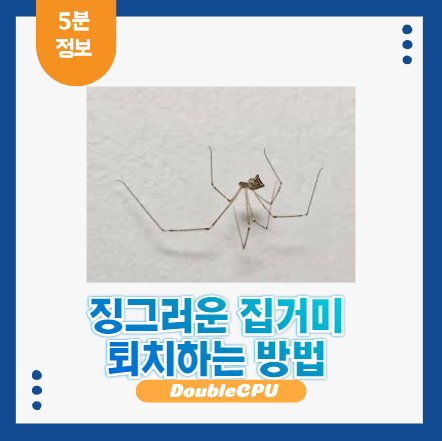 집거미