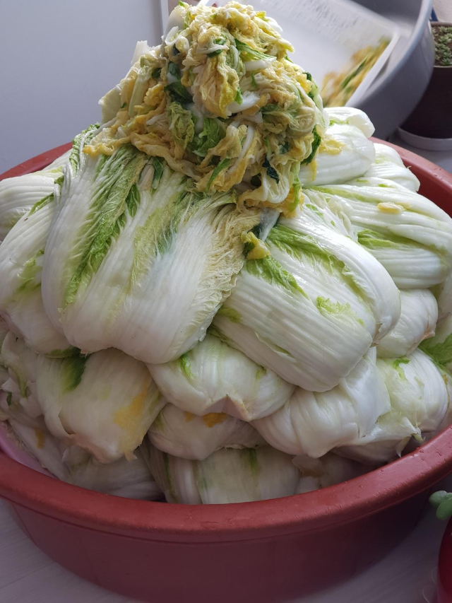 김장배추가격 시세