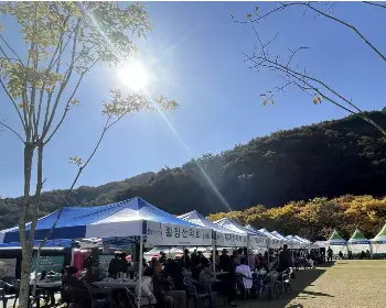 문경 사과축제_25